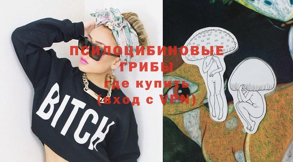 ГАЛЛЮЦИНОГЕННЫЕ ГРИБЫ Белокуриха