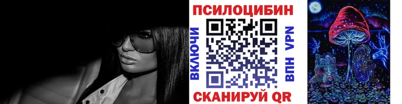 где найти наркотики  Армавир  Псилоцибиновые грибы Psilocybine cubensis 