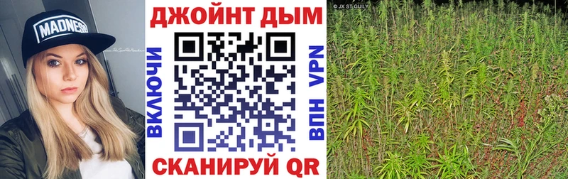 Конопля VHQ Армавир
